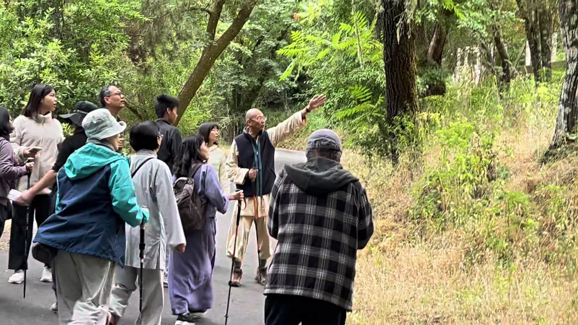 林間步行