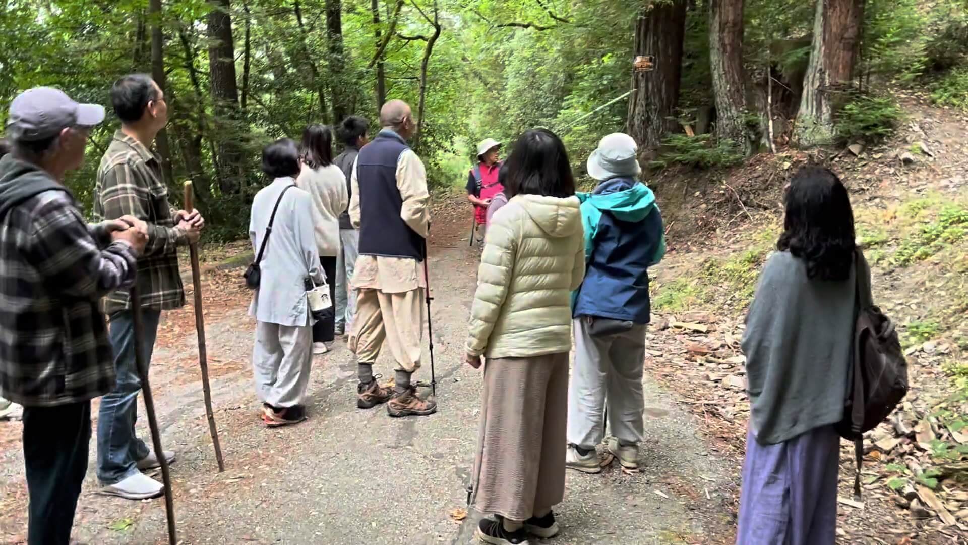 林間步行