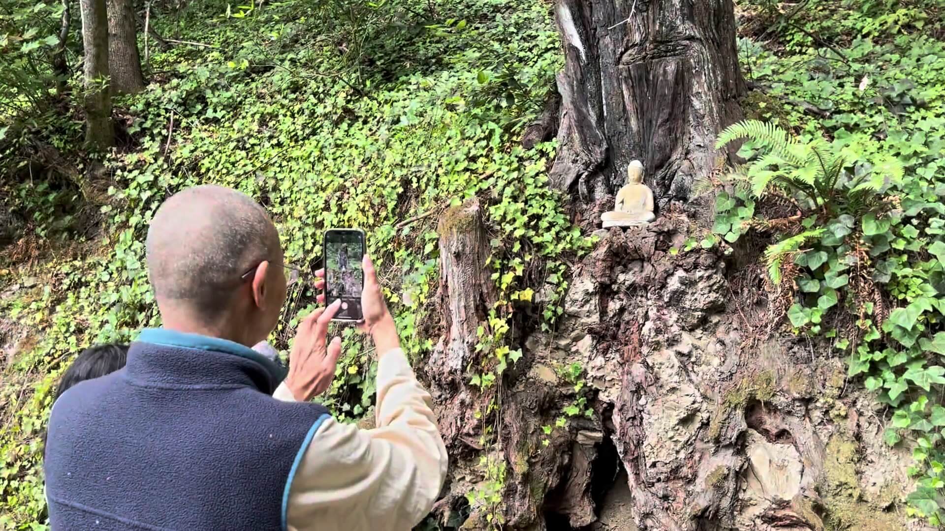 林間步行
